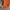 Salomon light jacket orange photo 6