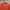 Salomon light jacket orange photo 2