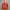 Salomon light jacket orange photo 5