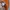 Salomon light jacket orange photo 8