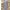 Tunik Lengan Panjang Wanita Dewasa