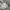 Nike tee Light Smoke Grey photo 7