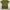 Deus Ex Machina Streetwear T-shirt Pria green photo 1