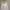 Y2K korean NY reflective jacket BW photo 6