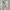 Y2K korean NY reflective jacket BW photo 4
