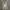 Y2K korean NY reflective jacket BW photo 1