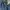Levi’s 558 Bootcut Button Fly Jeans photo 4
