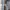 Dress Cheongsam photo 1