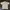 beige Joger polo shirt. photo 1