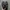 Arc’teryx Norvan LD 2 Black Gore-Tex photo 6