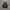 Arc’teryx Norvan LD 2 Black Gore-Tex photo 4