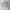 Half Zip | not Uniqlo | not H&m | not zara | not Nike  photo 1