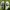 NIKE RIFT BARELY GREEN  photo 4
