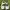 NIKE RIFT BARELY GREEN  photo 3
