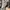 LOUIS VUITTON TRAINER MONOGRAM WHITE DENIM SNEAKERS , LOUIS  photo 6