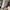 LOUIS VUITTON TRAINER MONOGRAM WHITE DENIM SNEAKERS , LOUIS  photo 7