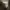 WnP house brand photo 2