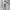 Long Outer Renda Premium photo 2