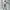 Long Outer Renda Premium