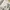 Long Outer Renda Premium photo 1