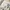 Long Outer Renda Premium