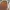 Vans Old Skool Quilted Bandana photo 10