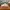 Vans Old Skool 36 Lx Knit Pack Geo Check Frost Gray photo 3