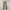 Japan Blue Jeans Camo Angkle Pants Stretch Lot JB2100