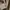 tas wanita photo 2