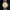 Seiko Vintage Casual Pria Gold