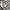VINTAGE BURBERRY NOVA CARGO SHORT  photo 5
