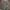 GORPCORE CAMO JACKET photo 3