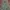 GORPCORE CAMO JACKET photo 9