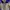 The North Face Goretex Jacket Not Stone Island Not Cp Compan
