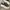 Nike P-6000 Black White photo 2