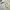 Polo Ralph Lauren Vintage Luxury Shirt Wanita white photo 2