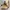 Boots Timberland yellow icon dr martens docmart redwing  photo 3