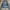 Denim Jacket  photo 2