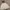 Sportswear Minimalist Mini skirt Wanita white photo 1