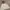 Sportswear Minimalist Mini Skirt Wanita White