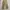 Carpenter pants canvas faded glory photo 1