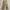 Carpenter Pants Canvas Faded Glory