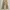 Carpenter pants canvas faded glory photo 2