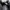 Converse authentic, sepatu kulit goth avantgarde y2k  photo 6