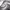 Converse authentic, sepatu kulit goth avantgarde y2k  photo 3