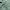 Vintage Polo Ralph Lauren Jacket Aspen Green / Navy Small Lo photo 8
