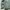 Vintage Polo Ralph Lauren Jacket Aspen Green / Navy Small Lo photo 6
