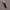 MAKE OVER Powerstay Glazed Shade D05 Summertime Lip Glazed photo 1