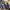 •peacot jacket Louis Vuitton x Nigo Giant Damier Waves photo 6