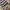 •peacot jacket Louis Vuitton x Nigo Giant Damier Waves photo 4